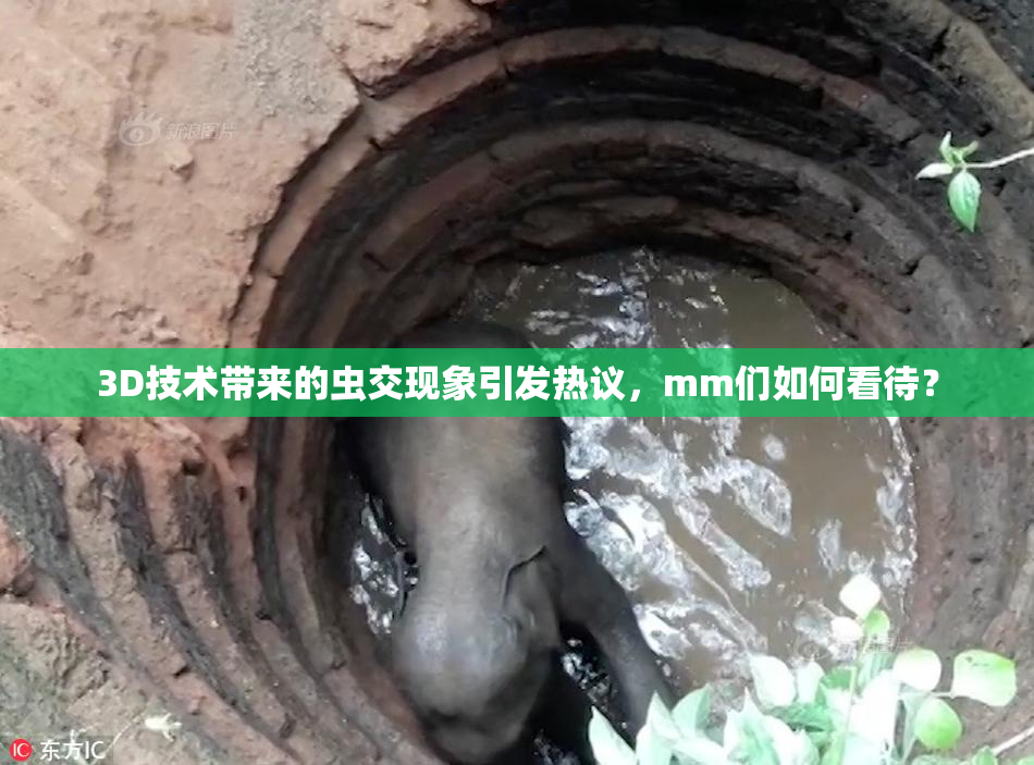 3D技术带来的虫交现象引发热议，mm们如何看待？