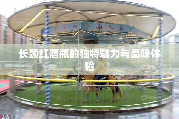 长颈红酒瓶的独特魅力与品味体验