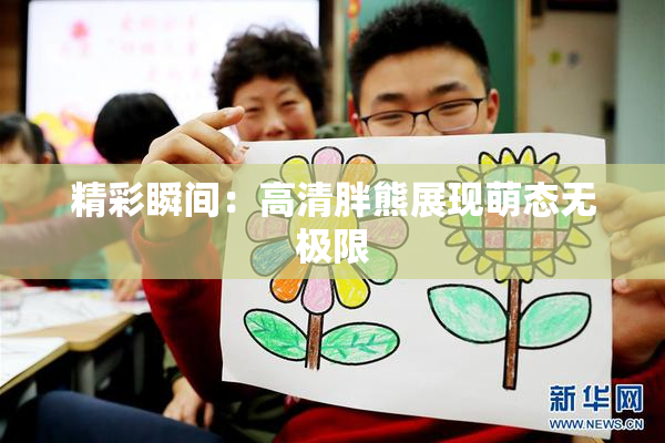 精彩瞬间：高清胖熊展现萌态无极限