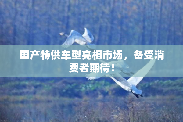 国产特供车型亮相市场，备受消费者期待！