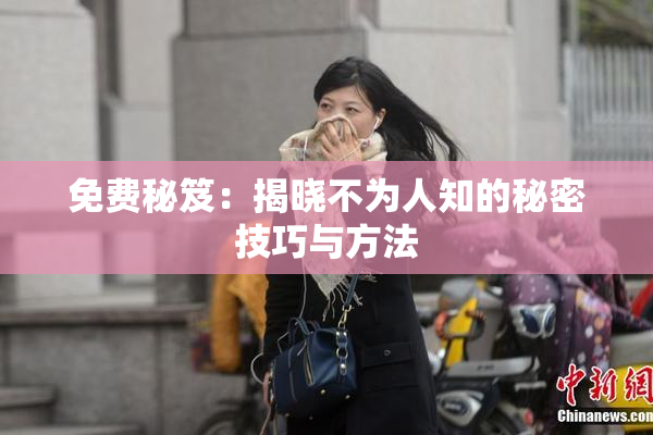 免费秘笈：揭晓不为人知的秘密技巧与方法