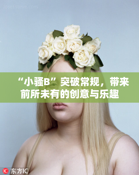 “小骚B”突破常规，带来前所未有的创意与乐趣