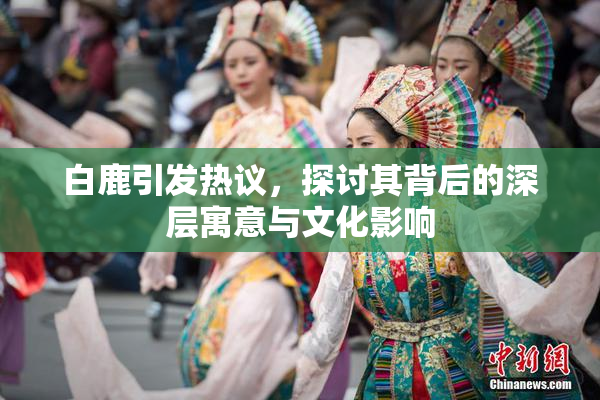 白鹿引发热议，探讨其背后的深层寓意与文化影响