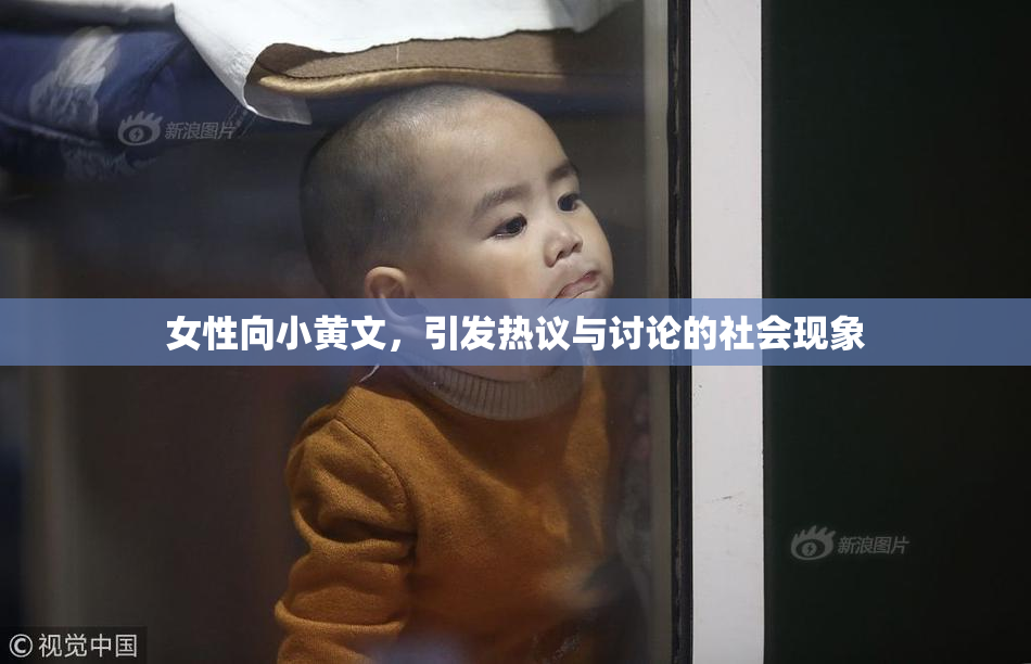 女性向小黄文，引发热议与讨论的社会现象
