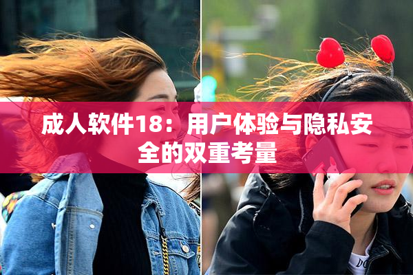 成人软件18：用户体验与隐私安全的双重考量