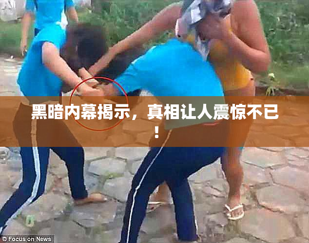 黑暗内幕揭示，真相让人震惊不已！
