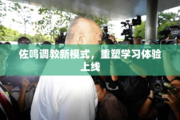 佐鸣调教新模式，重塑学习体验上线
