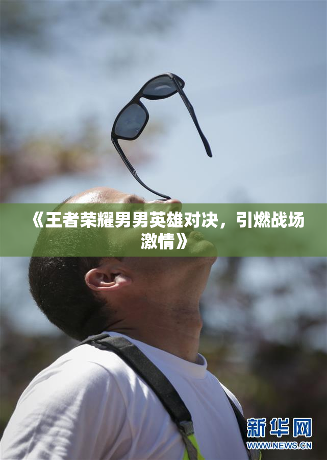 《王者荣耀男男英雄对决，引燃战场激情》