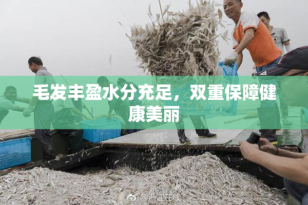毛发丰盈水分充足，双重保障健康美丽