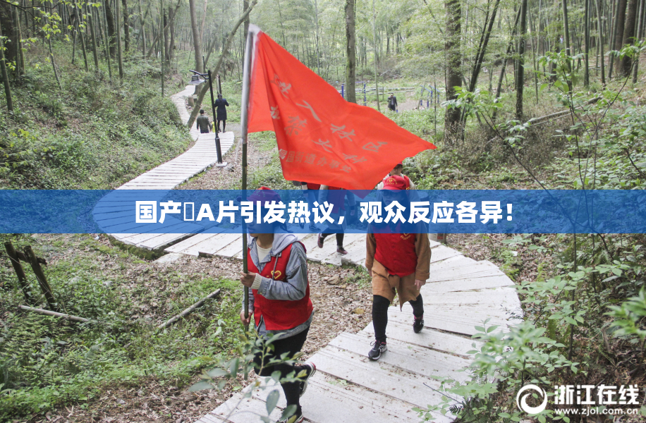 国产婬A片引发热议，观众反应各异！