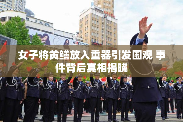 女子将黄鳝放入重器引发围观 事件背后真相揭晓