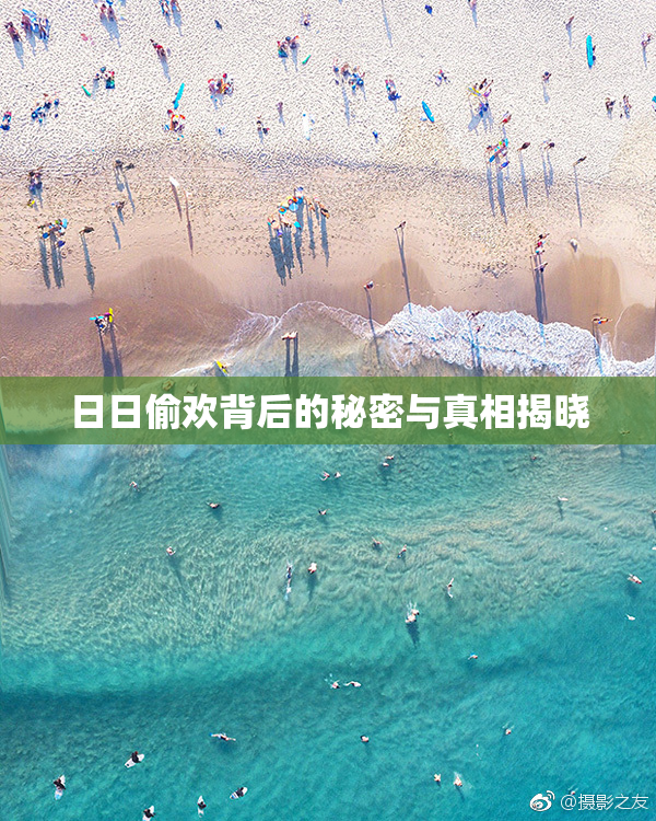 日日偷欢背后的秘密与真相揭晓