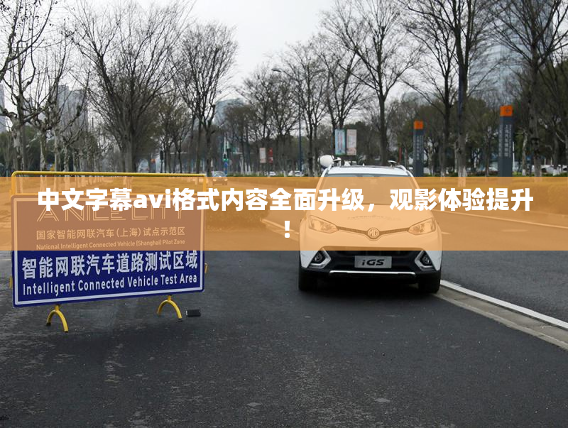 中文字幕avi格式内容全面升级，观影体验提升！