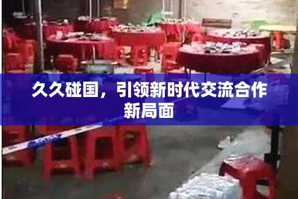 久久碰国，引领新时代交流合作新局面