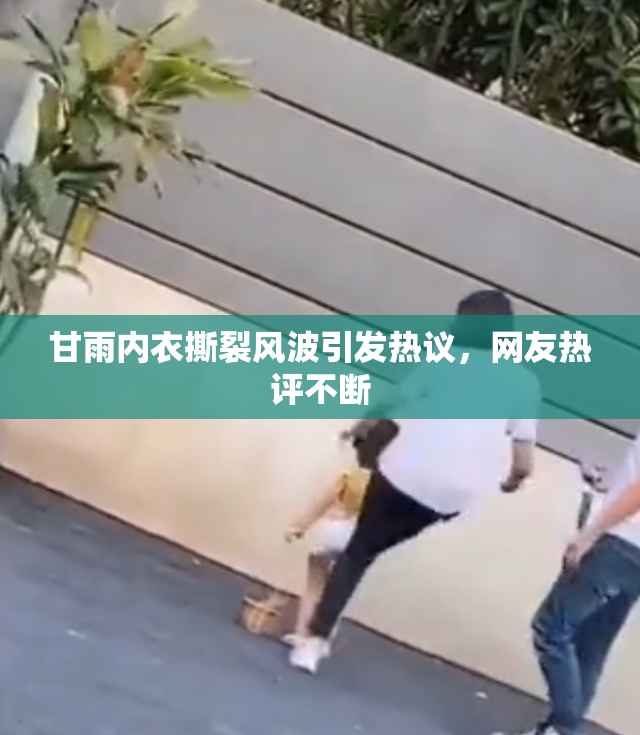 甘雨内衣撕裂风波引发热议，网友热评不断