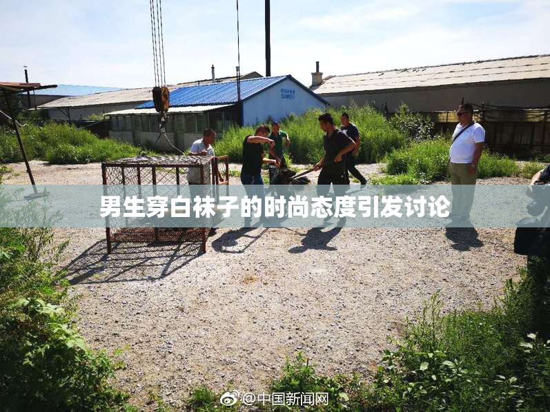 男生穿白袜子的时尚态度引发讨论