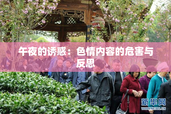 午夜的诱惑：色情内容的危害与反思