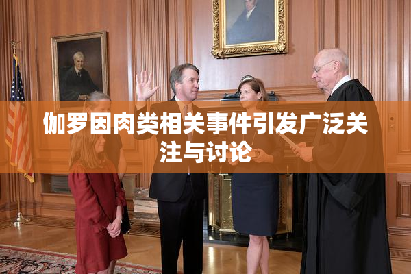 伽罗因肉类相关事件引发广泛关注与讨论