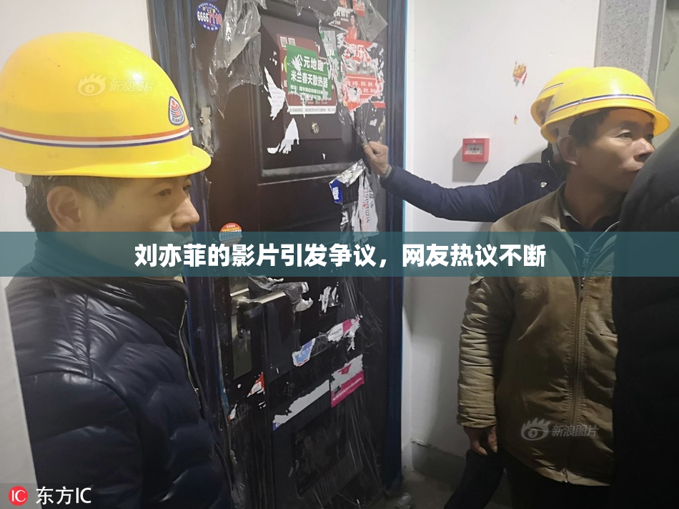 刘亦菲的影片引发争议，网友热议不断