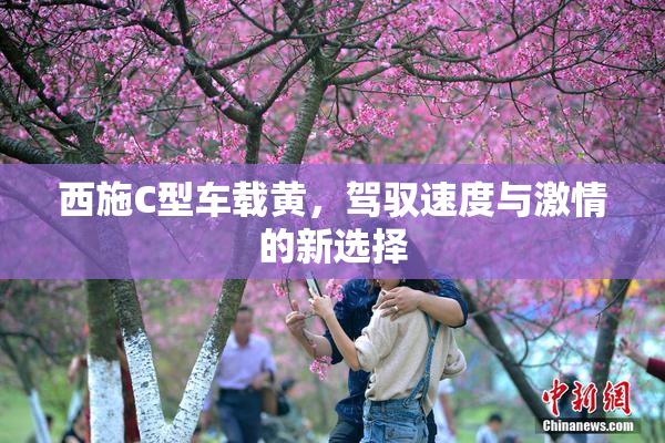 西施C型车载黄，驾驭速度与激情的新选择