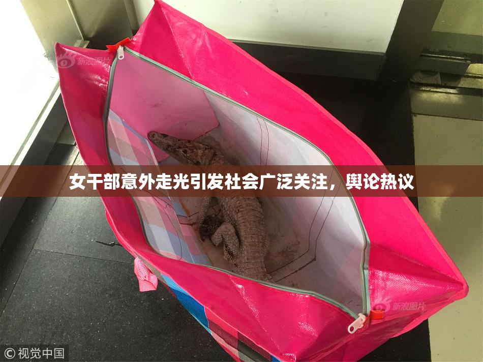 女干部意外走光引发社会广泛关注，舆论热议