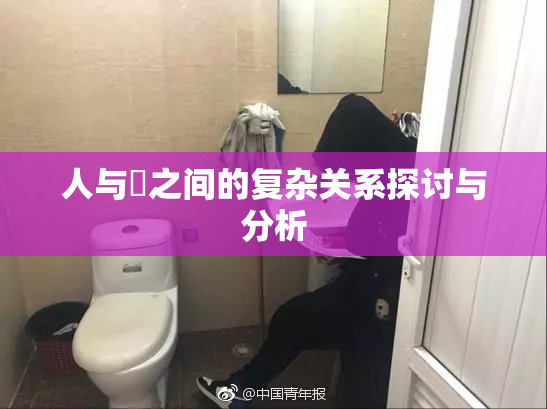 人与嘼之间的复杂关系探讨与分析