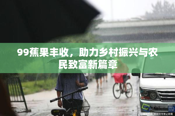 99蕉果丰收，助力乡村振兴与农民致富新篇章