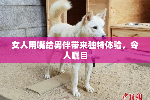 女人用嘴给男伴带来独特体验，令人瞩目