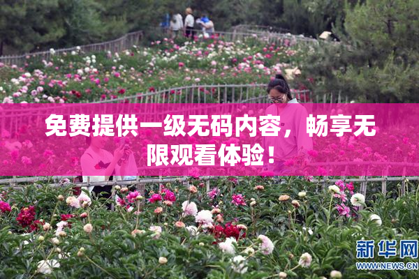 免费提供一级无码内容，畅享无限观看体验！