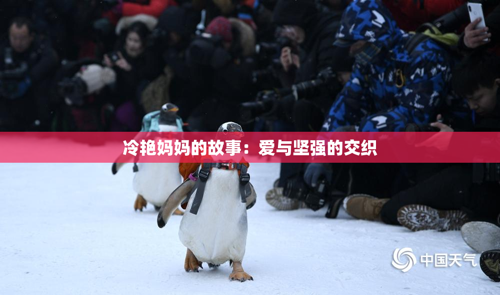 冷艳妈妈的故事：爱与坚强的交织
