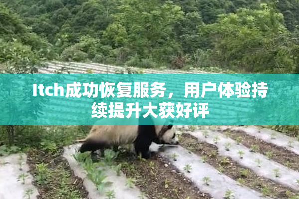 Itch成功恢复服务，用户体验持续提升大获好评
