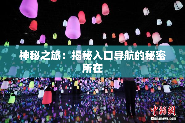 神秘之旅：揭秘入口导航的秘密所在