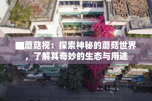 ▇蘑菇视：探索神秘的蘑菇世界，了解其奇妙的生态与用途