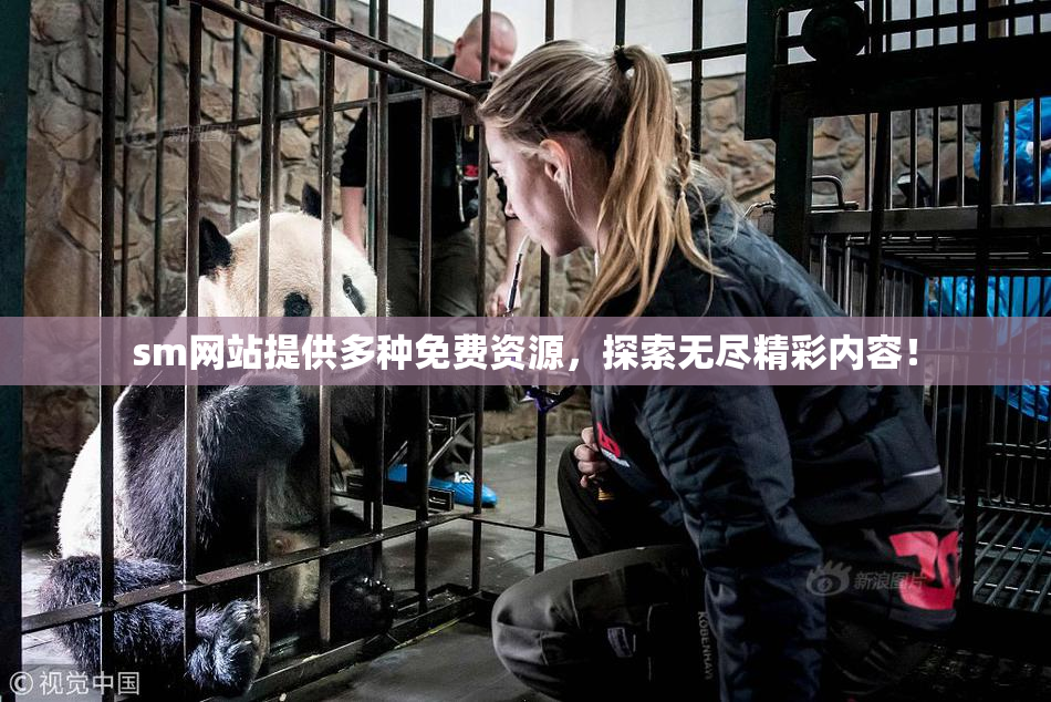 sm网站提供多种免费资源，探索无尽精彩内容！