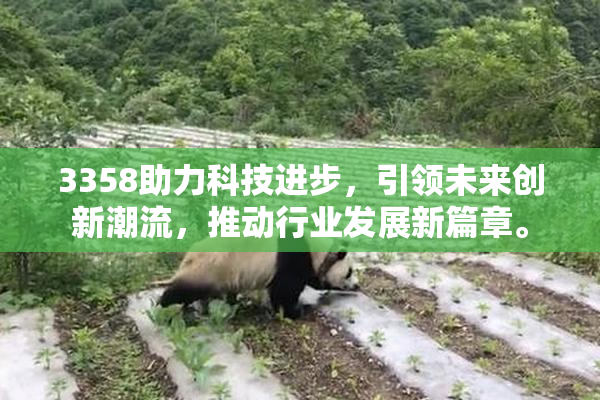 3358助力科技进步，引领未来创新潮流，推动行业发展新篇章。