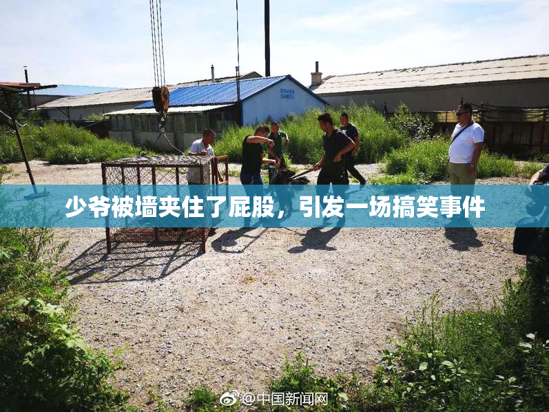 少爷被墙夹住了屁股，引发一场搞笑事件