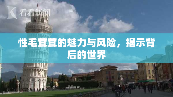 性毛茸茸的魅力与风险，揭示背后的世界