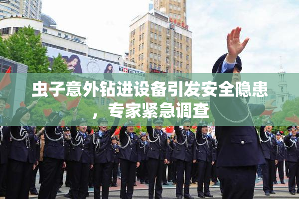 虫子意外钻进设备引发安全隐患，专家紧急调查