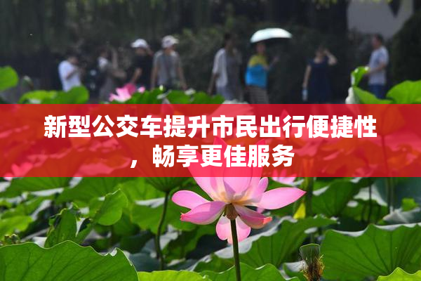 新型公交车提升市民出行便捷性，畅享更佳服务