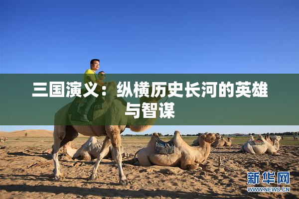 三国演义：纵横历史长河的英雄与智谋