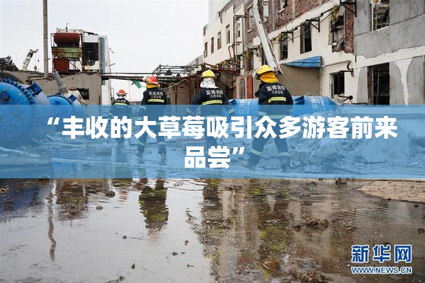 “丰收的大草莓吸引众多游客前来品尝”