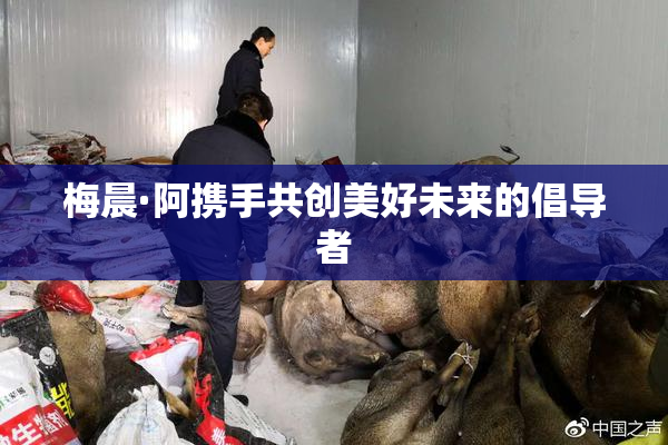 梅晨·阿携手共创美好未来的倡导者