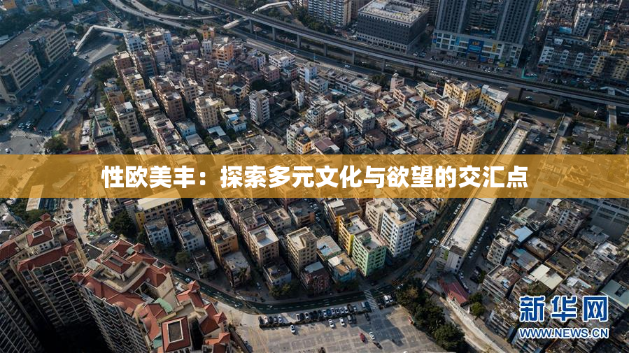 性欧美丰：探索多元文化与欲望的交汇点