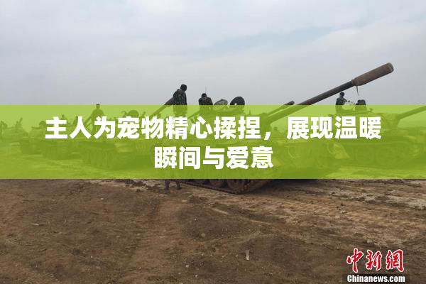 主人为宠物精心揉捏，展现温暖瞬间与爱意