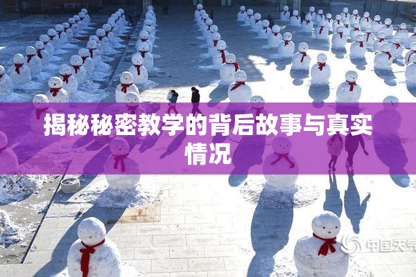 揭秘秘密教学的背后故事与真实情况