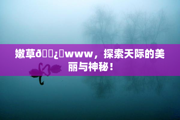 嫩草🌿‌www，探索天际的美丽与神秘！