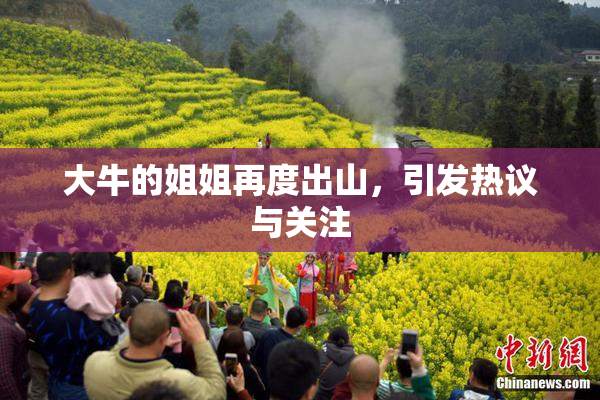 大牛的姐姐再度出山，引发热议与关注