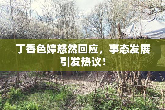 丁香色婷怒然回应，事态发展引发热议！