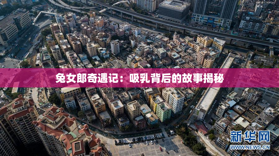 兔女郎奇遇记：吸乳背后的故事揭秘