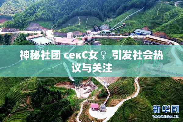 神秘社团 секС女♀ 引发社会热议与关注